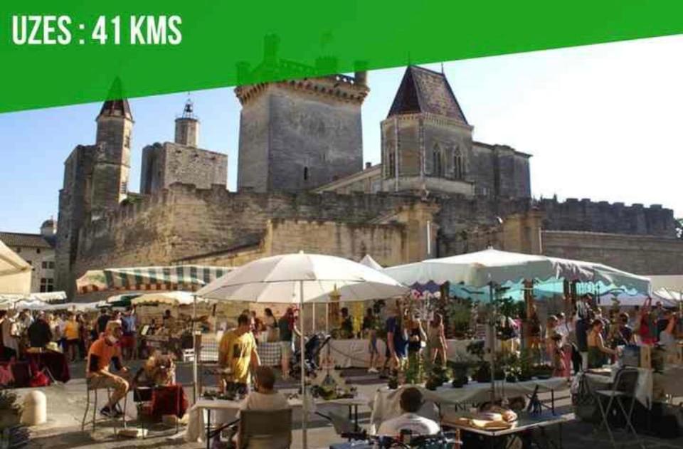 Le Patio De Provence En Avignon - Hypercentre, Clim, Wifi, Calmeアパートメント エクステリア 写真